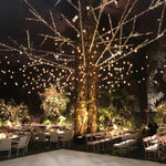 R y T Arquitectos - ELHAnovias - Decoración